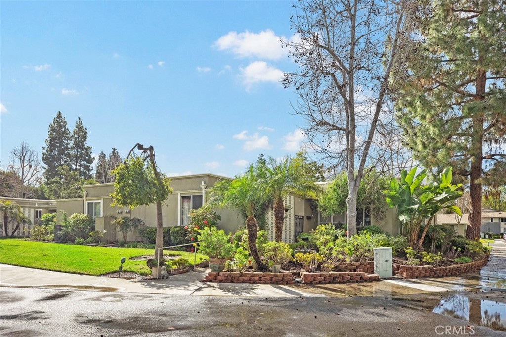 a view of backyard with palm trees