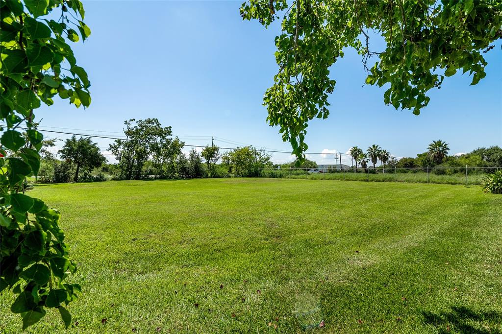 a view of a garden with trees