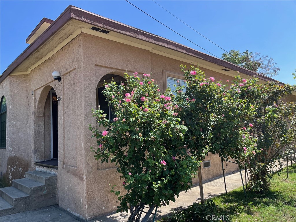 a front view of a house with plants