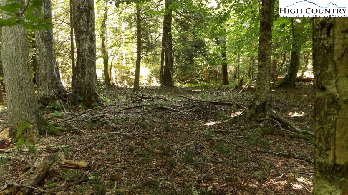 a view of outdoor space and trees