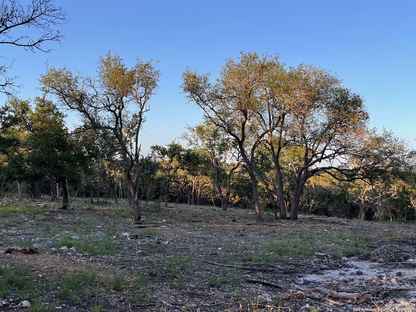 a view of outdoor space with trees all around