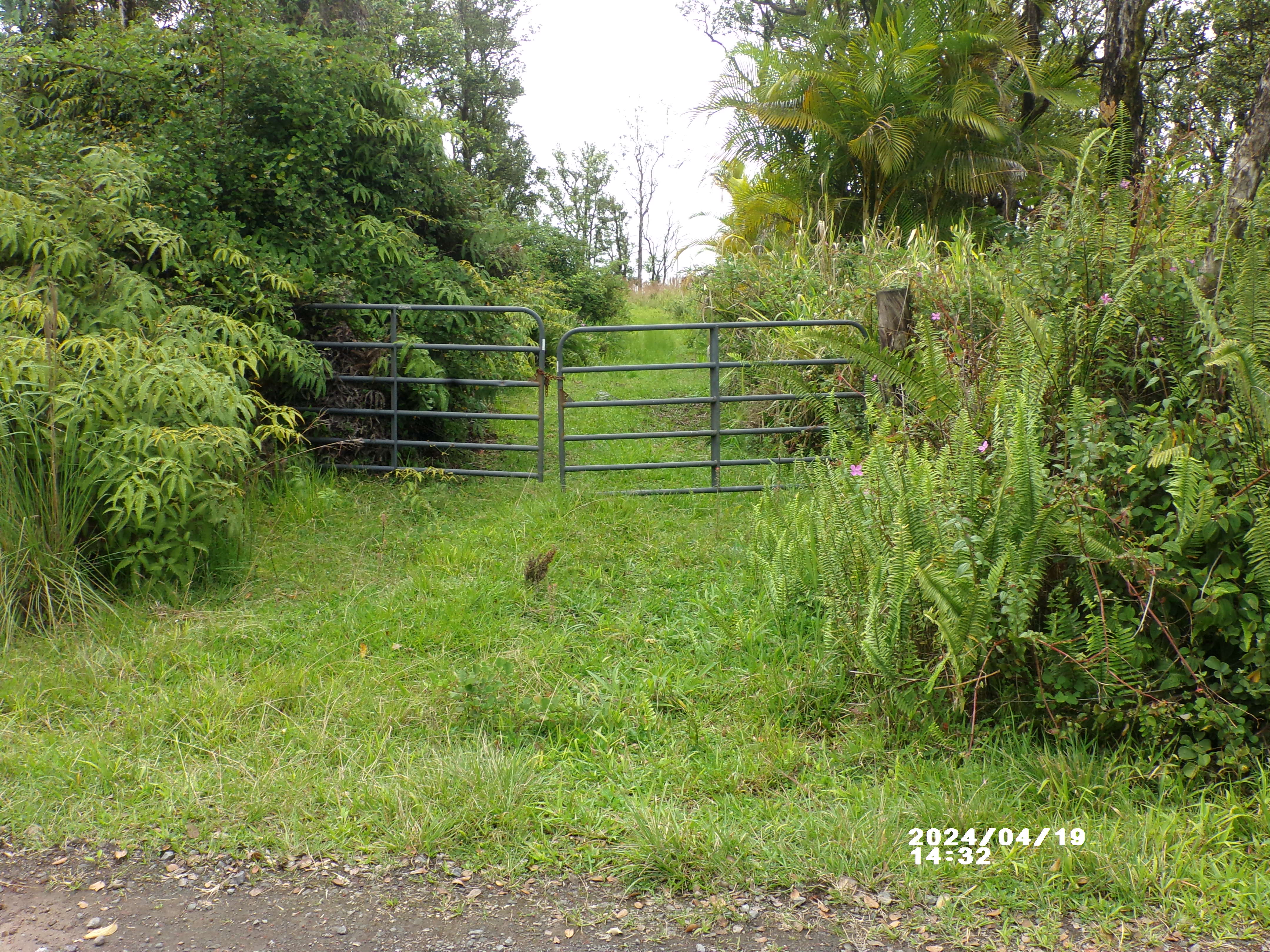 a view of a wooden fence