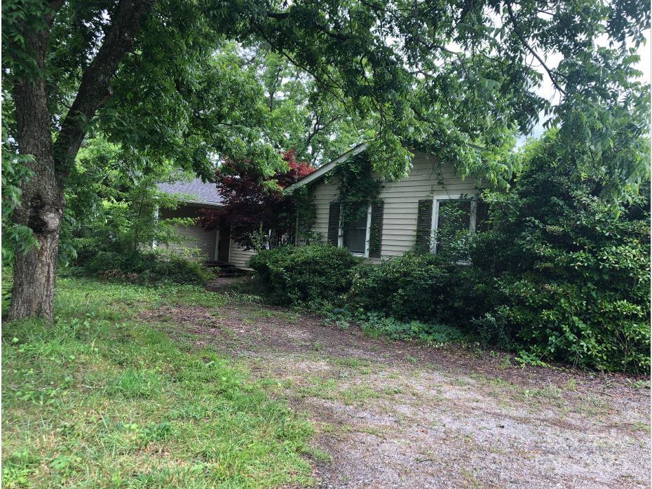 a backyard of a house with plants and large trees