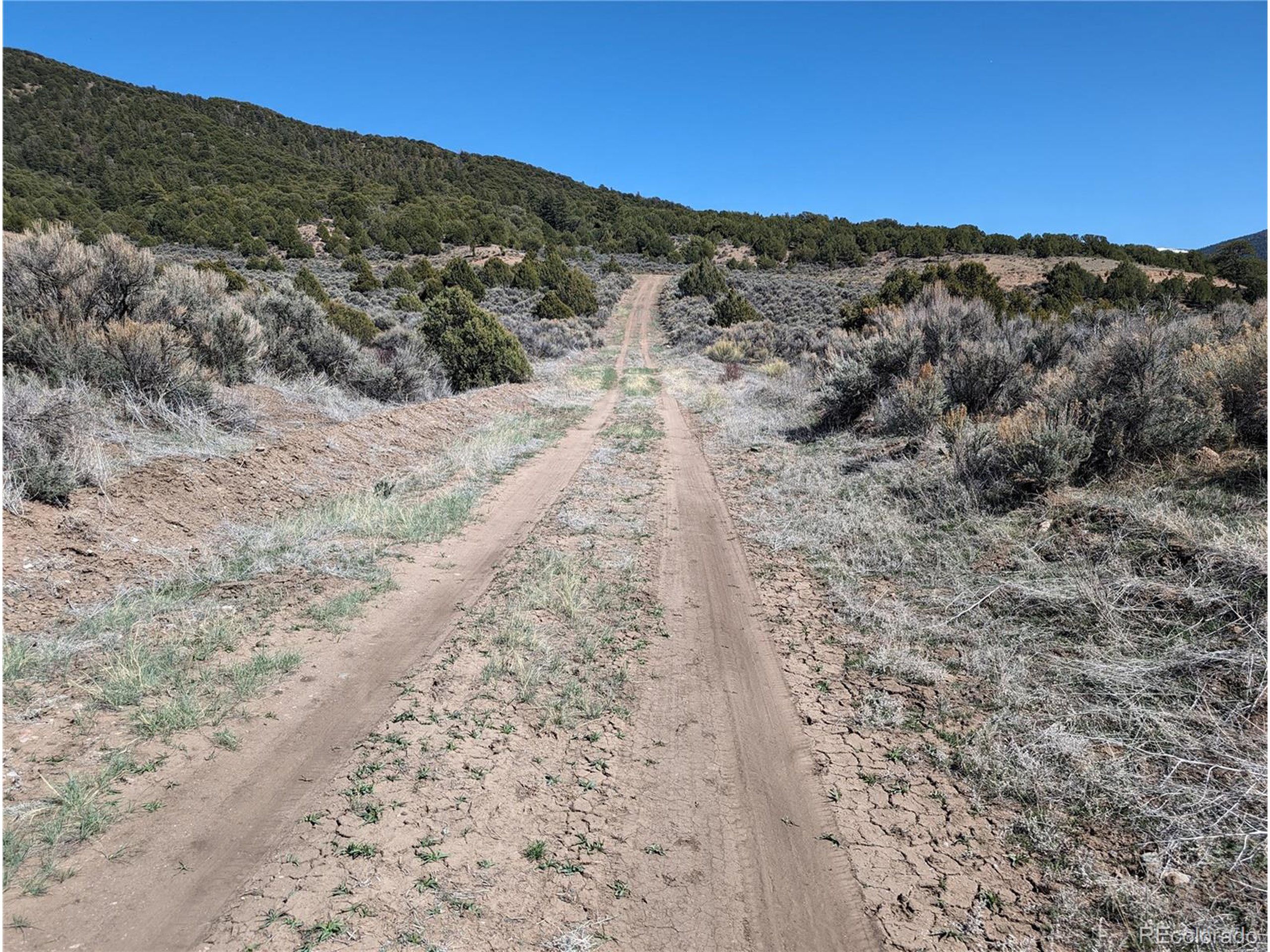 a view of a dry yard with mountains in the background