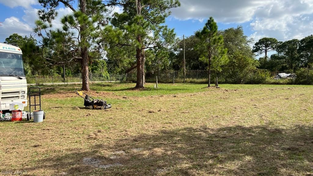 a view of a yard with a tree