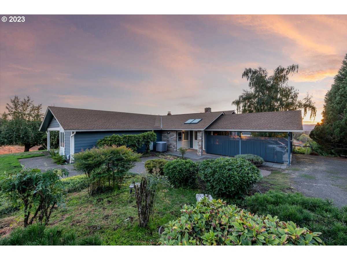 a view of a house with a yard and a tree