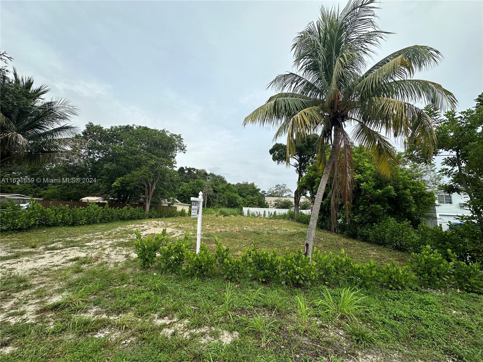 a view of a yard with palm trees