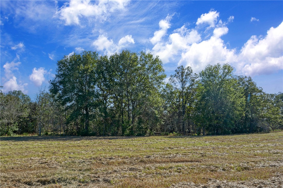 a view of a field with trees in the background