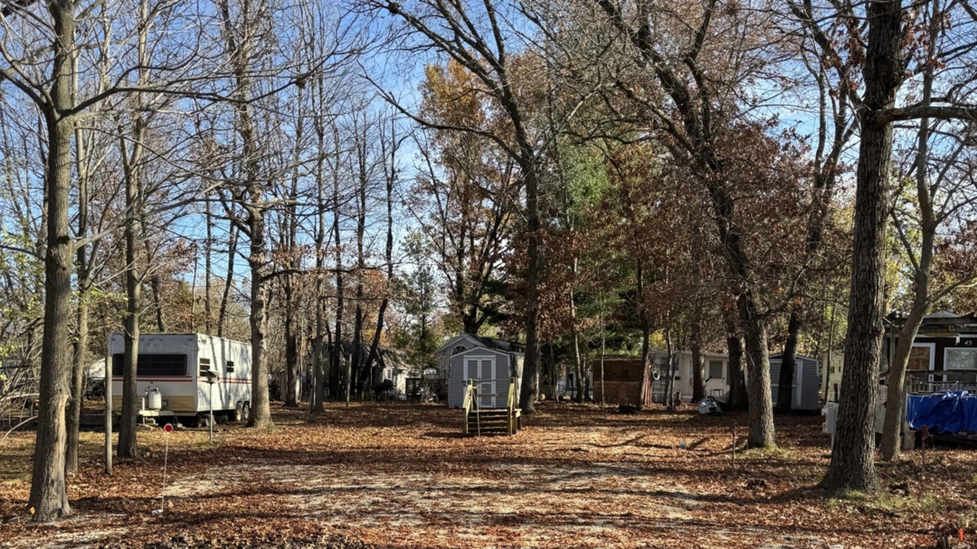 a backyard of a house with lots of trees