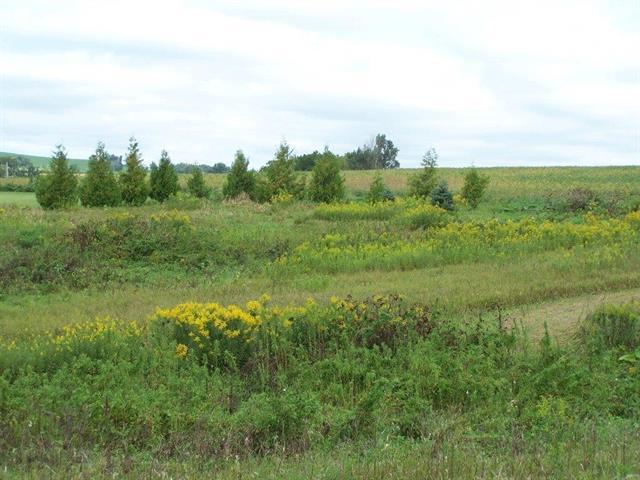 a view of a field of grass and trees