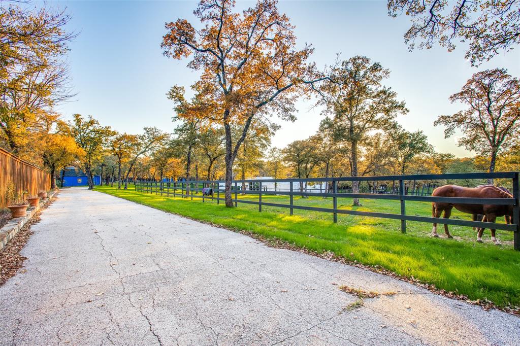 a view of a park with large trees