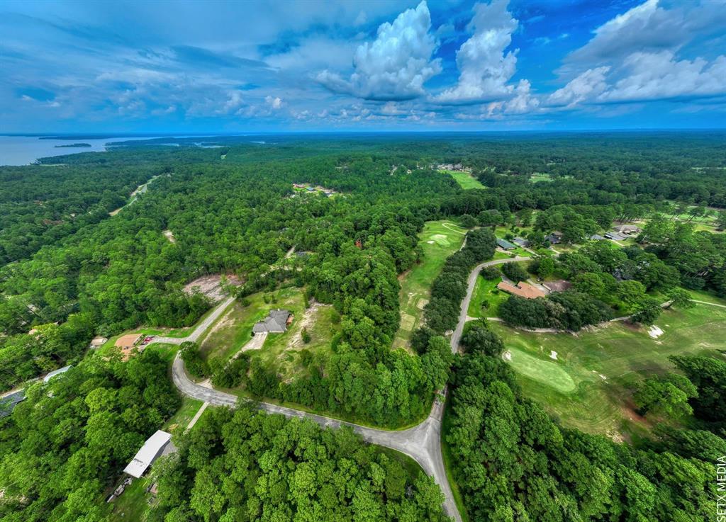 a view of a field of grass and trees