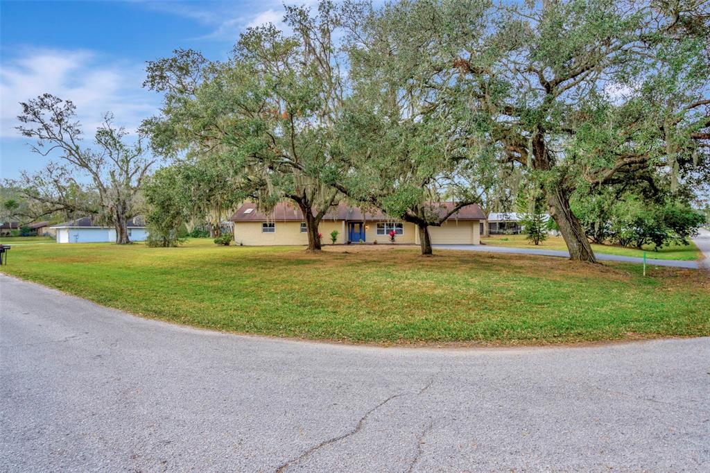 a view of yard with tree and green space