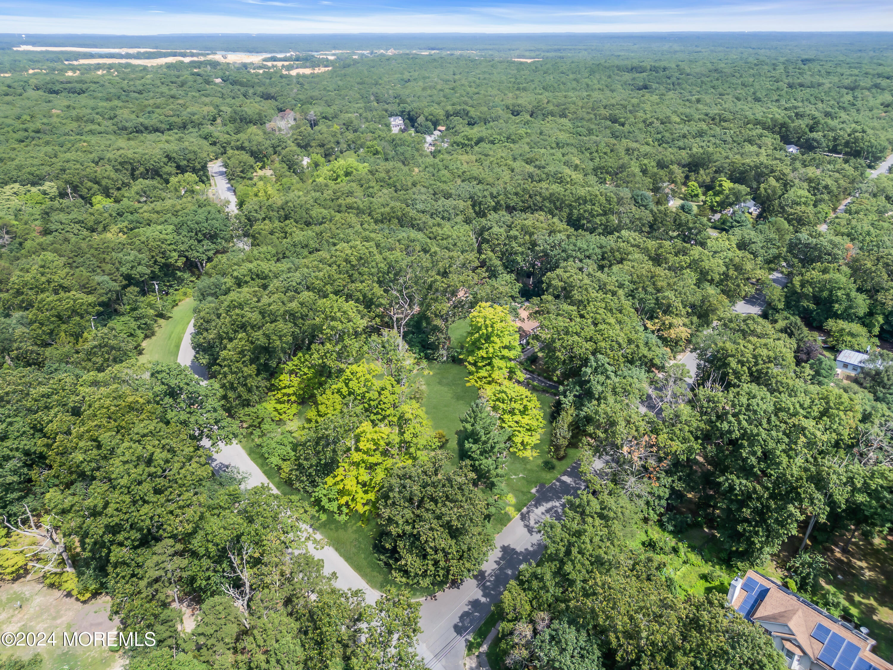 a view of a lush green forest with lots of trees