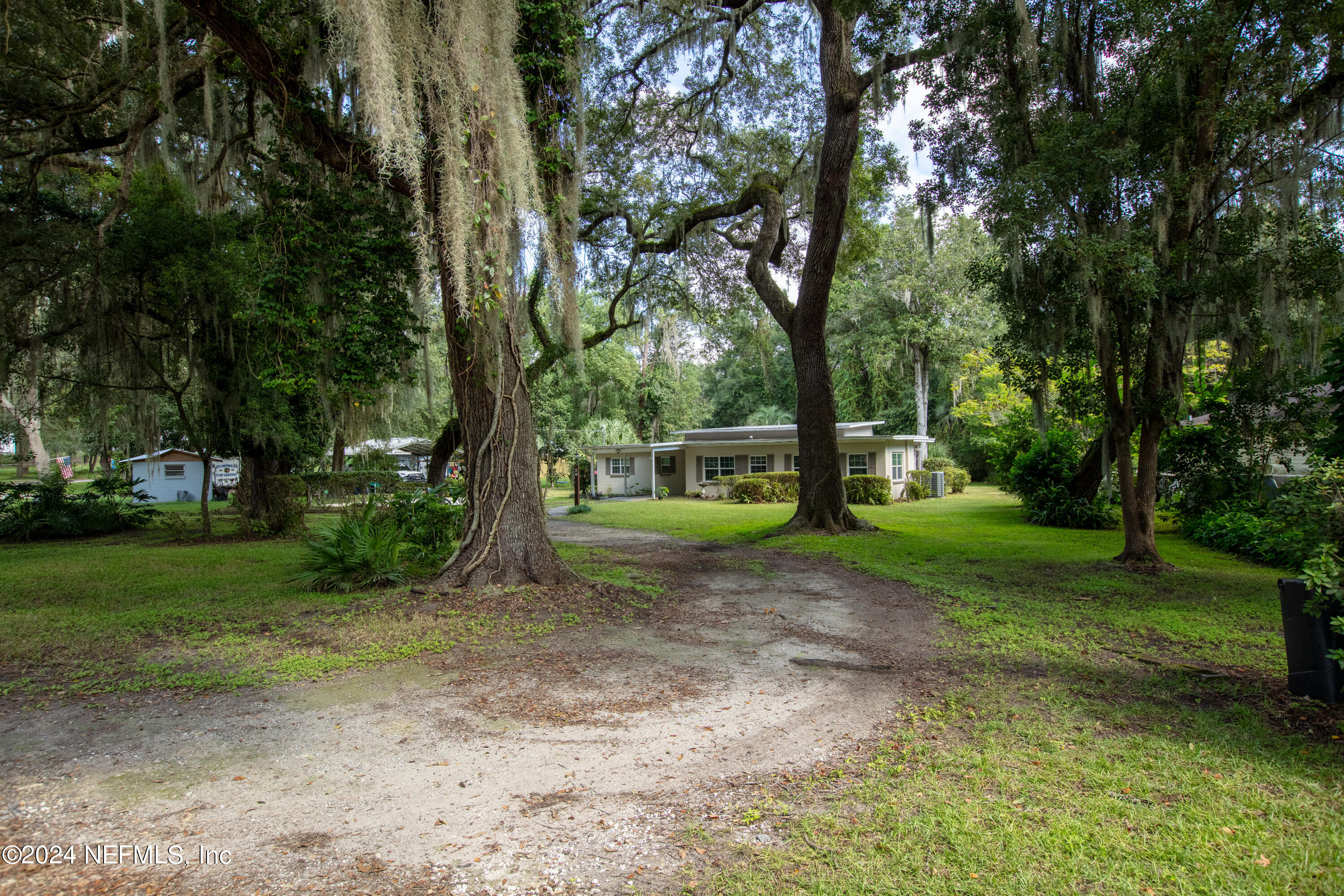 a view of a yard with tree s