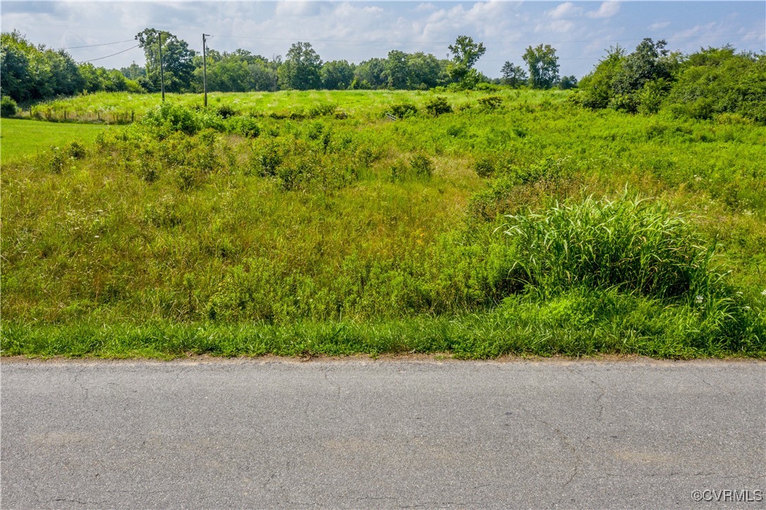 a view of a yard with plants