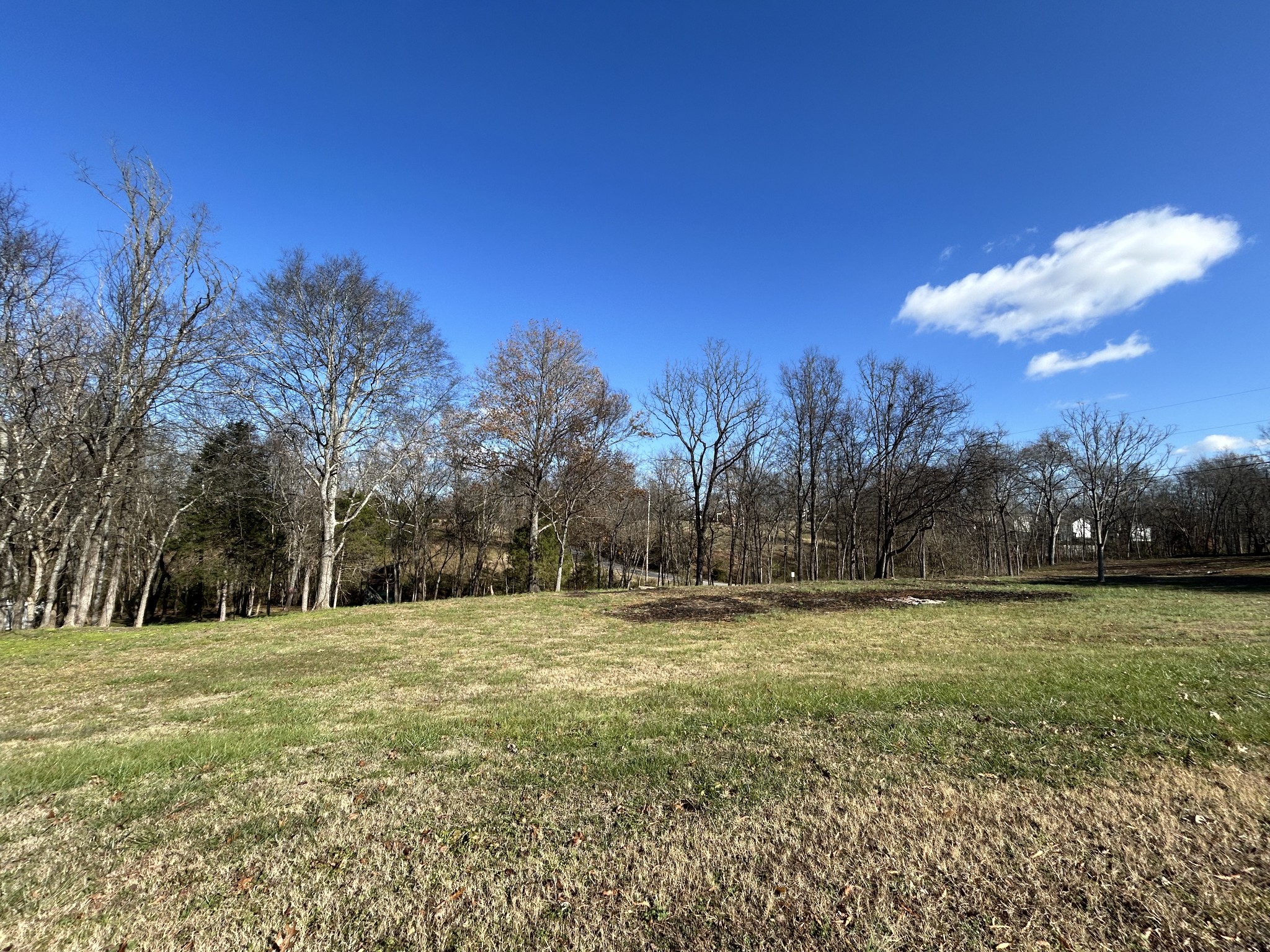 Looking at lot from Brook Dr