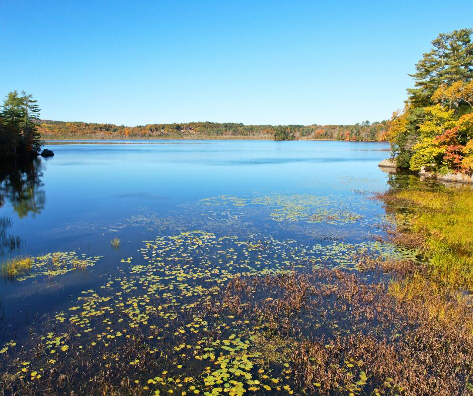 Berry Pond Lots