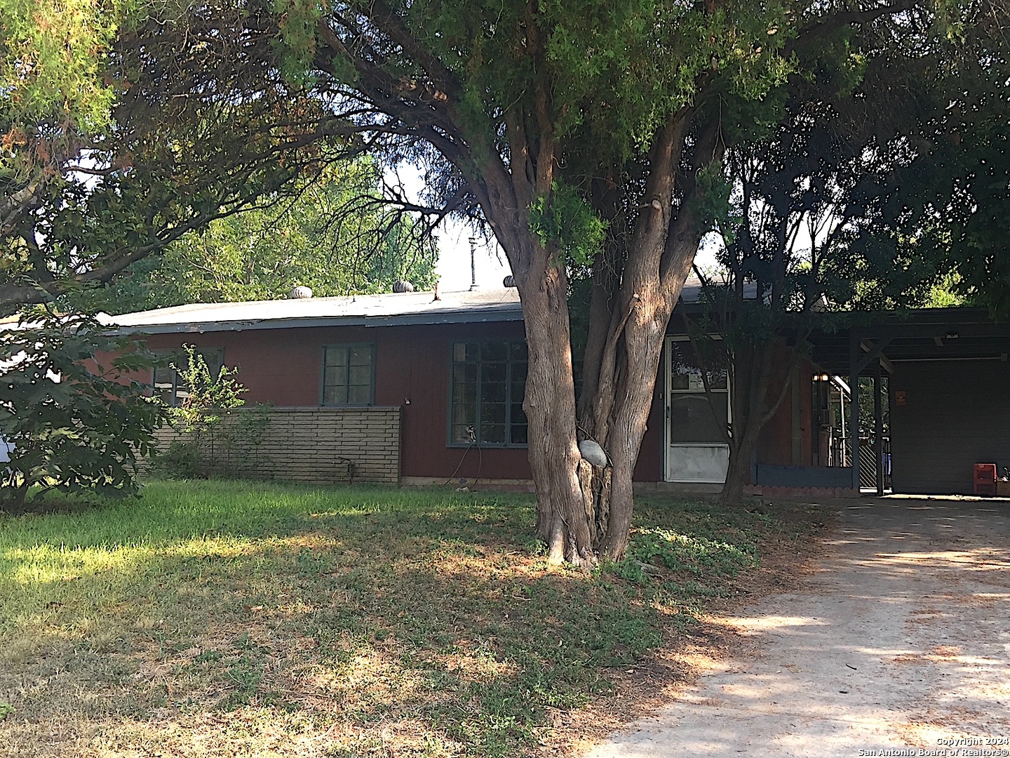 a view of a yard with a tree