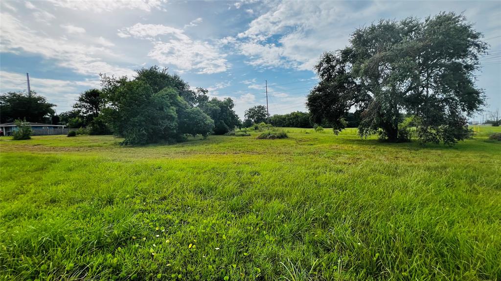 a view of field with trees in the background