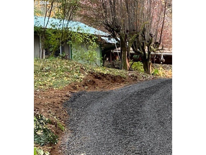 a view of a yard with plants and trees