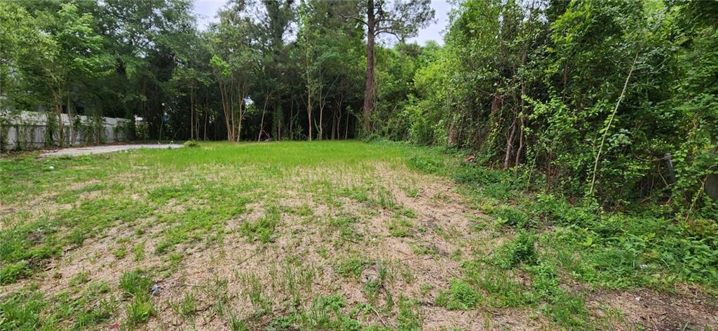 a view of backyard with green space