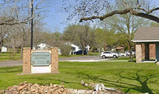 a view of a park with large trees