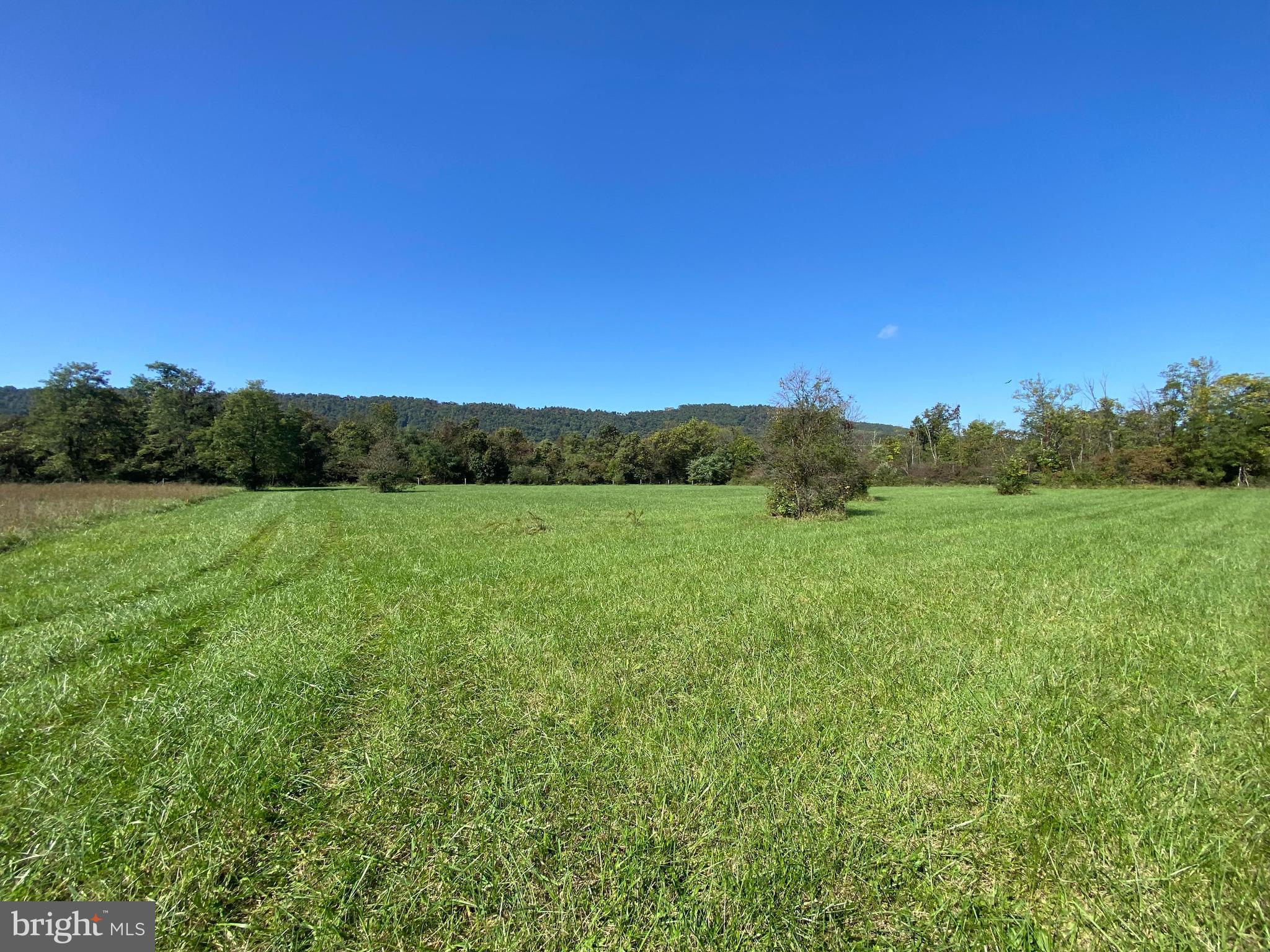 approximately 2 acres of open pasture