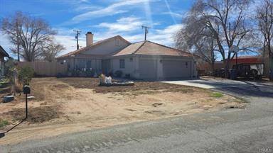 a view of a yard with a large tree