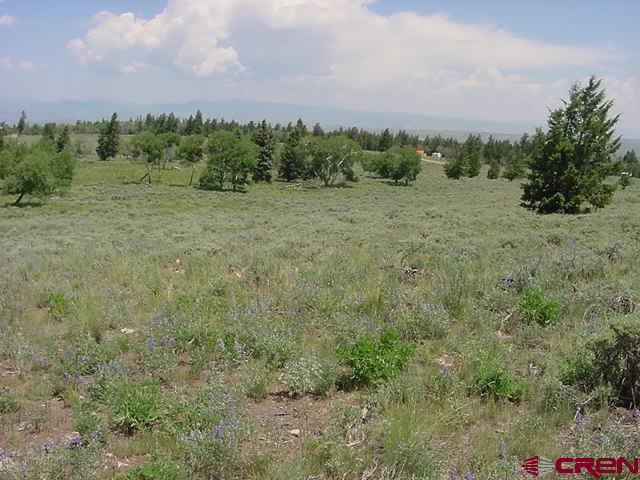 a view of a field with trees in background