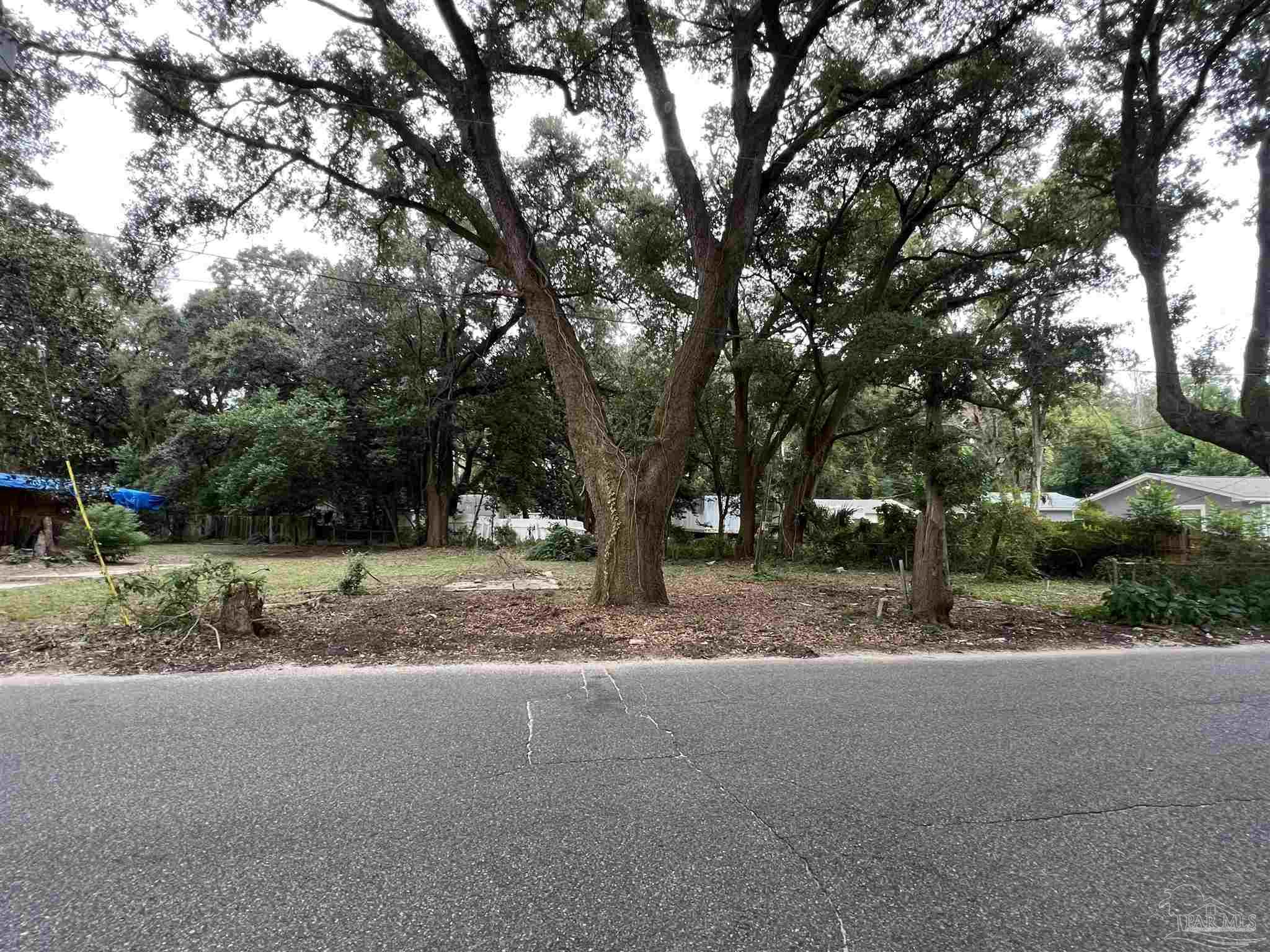 a view of a yard with a tree