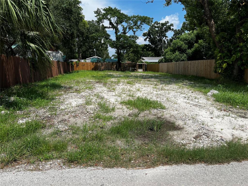 a view of a backyard with a large tree