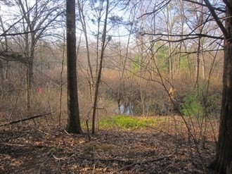 a view of backyard of house