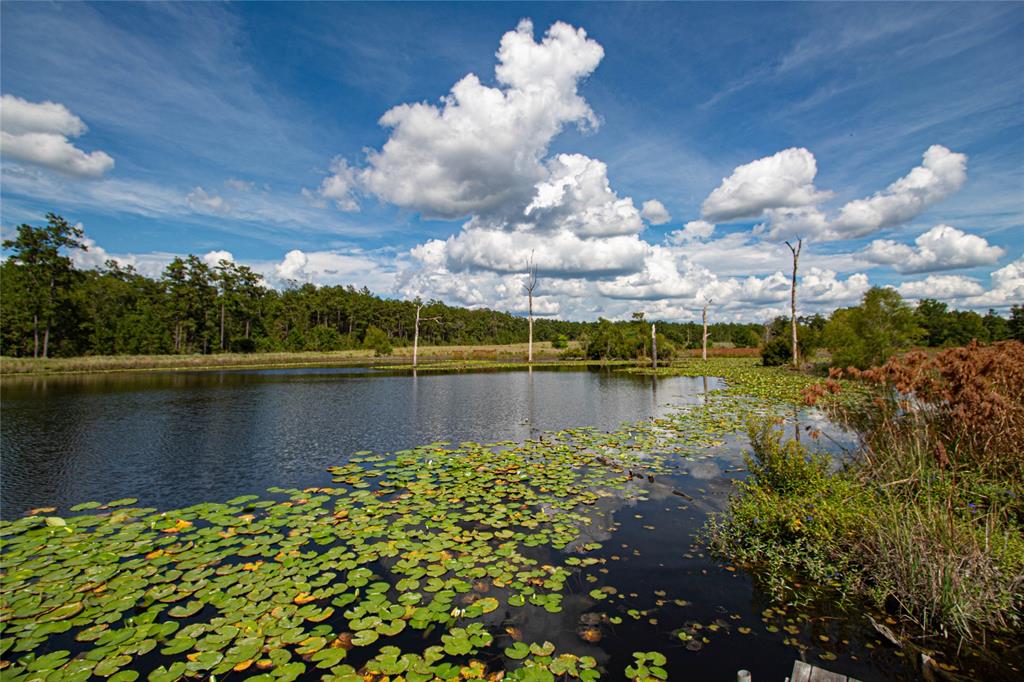 a view of a lake