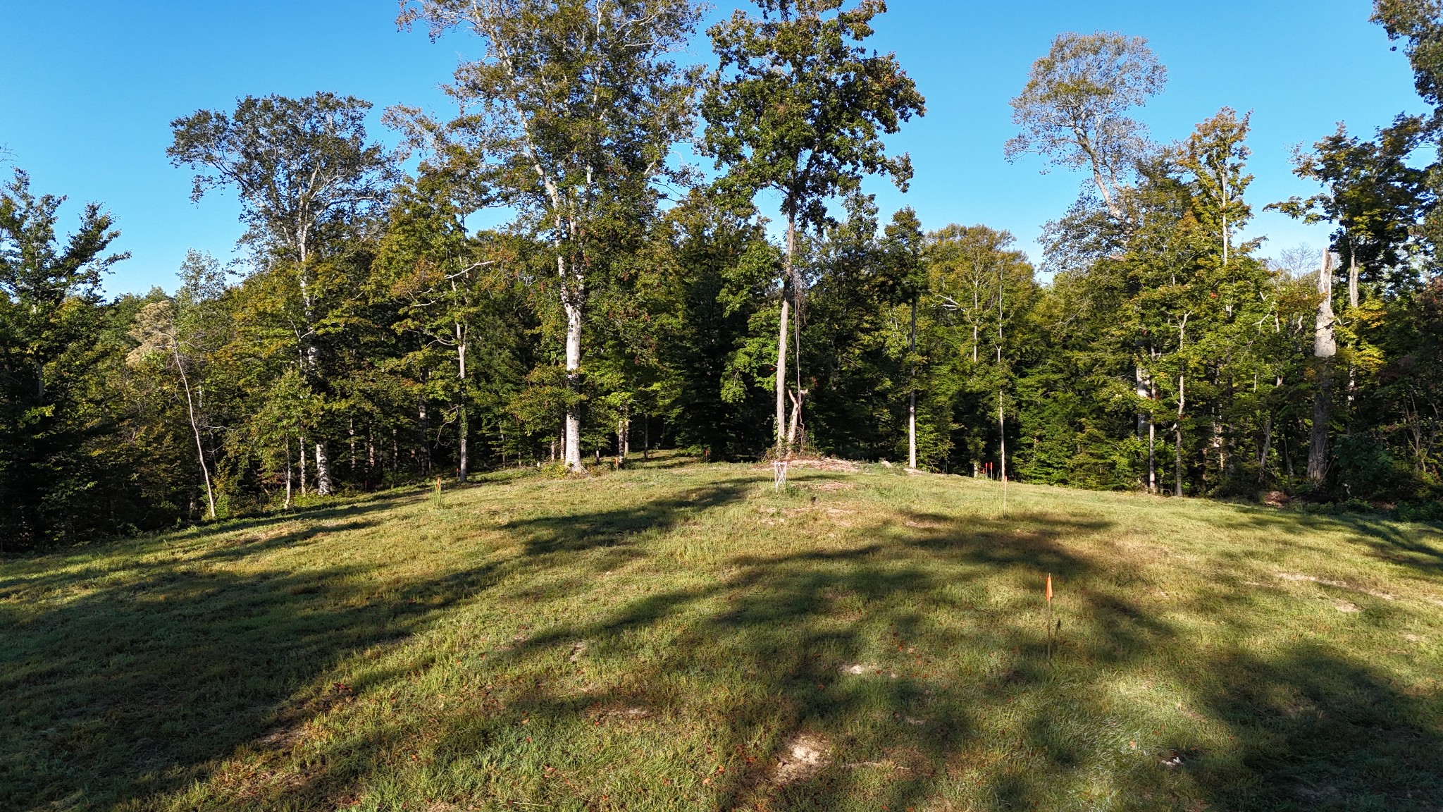 a view of outdoor space with trees all around