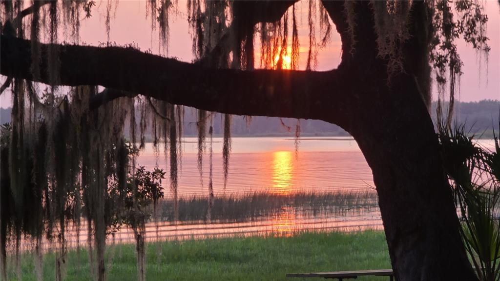 a view of a back yard