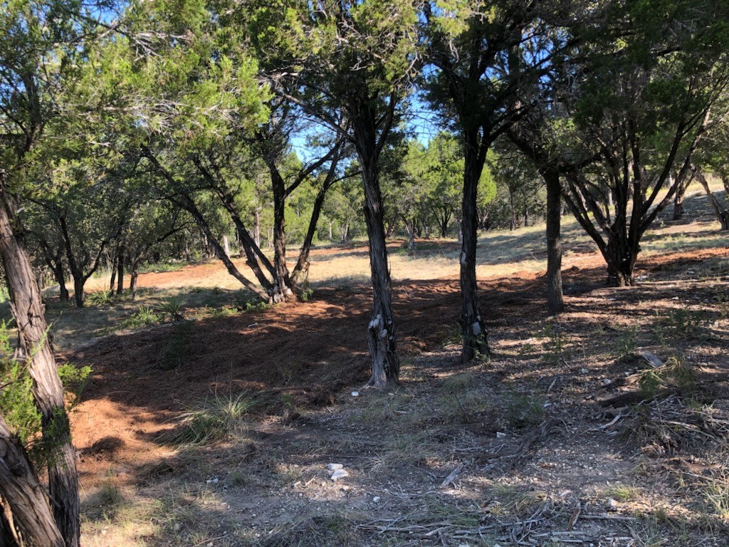 a view of outdoor space with lots of trees