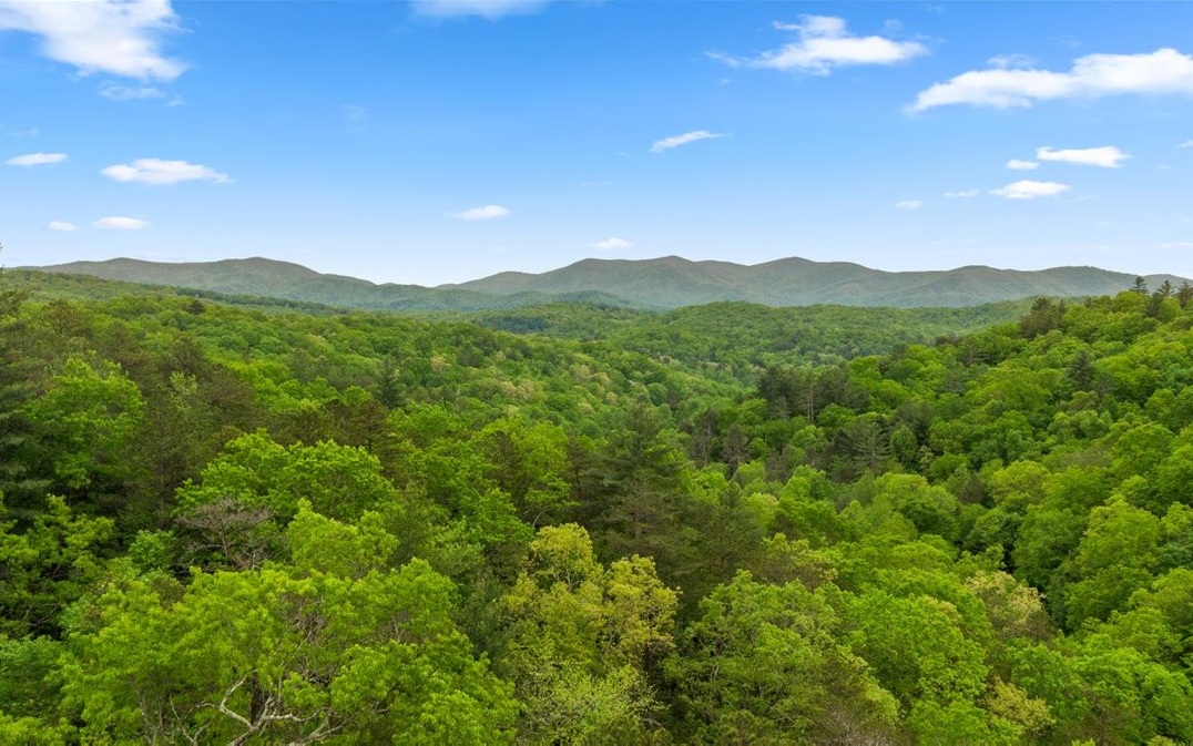 a view of a mountain range with lush green forest