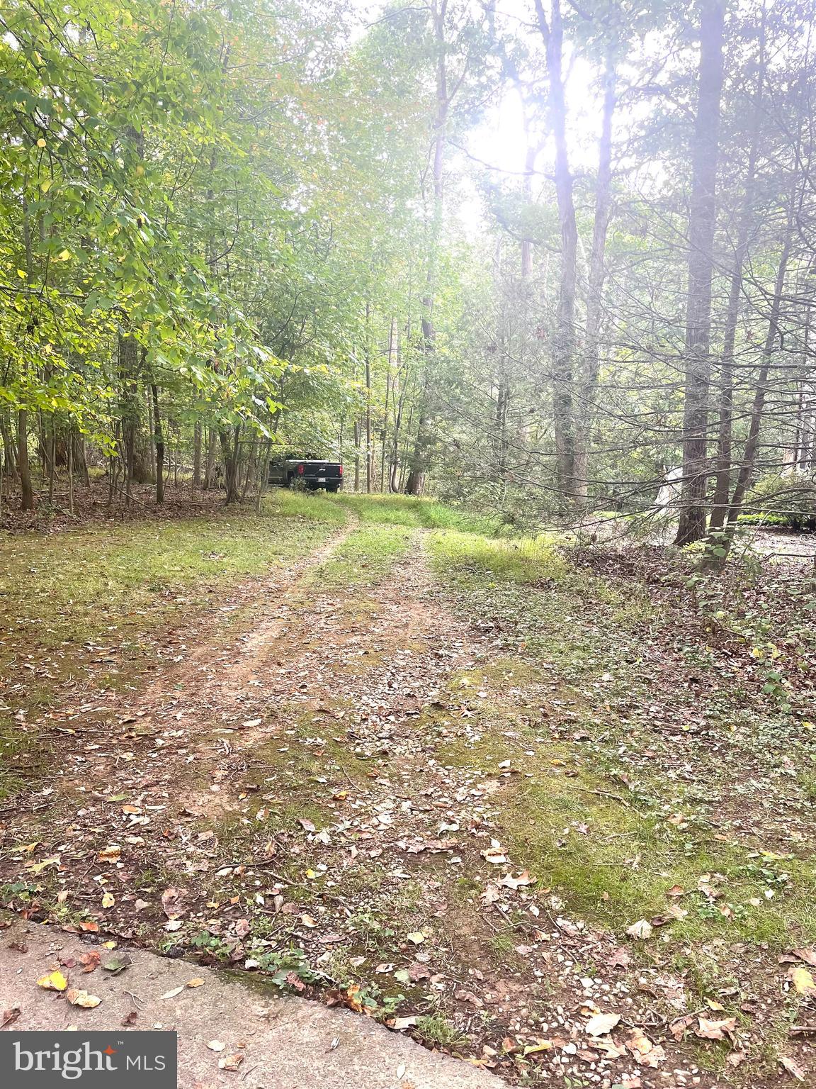 a view of a yard with trees