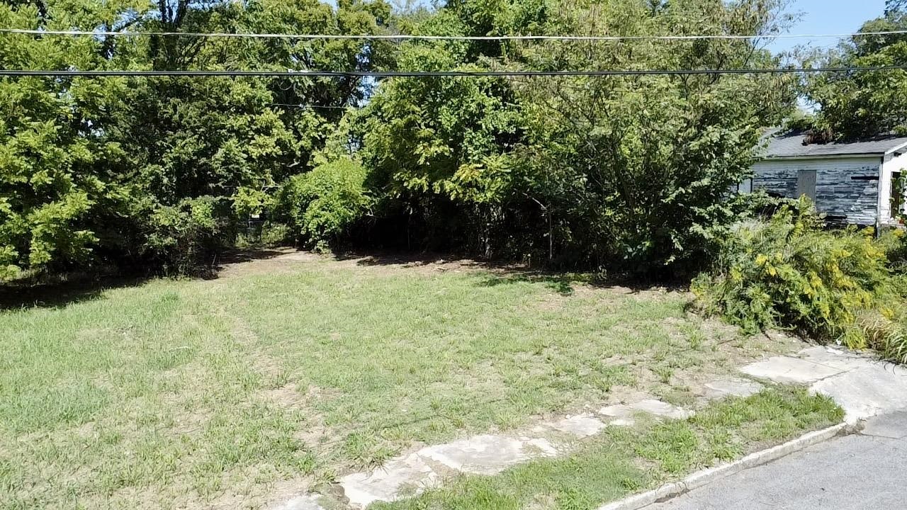 a view of wall with green space