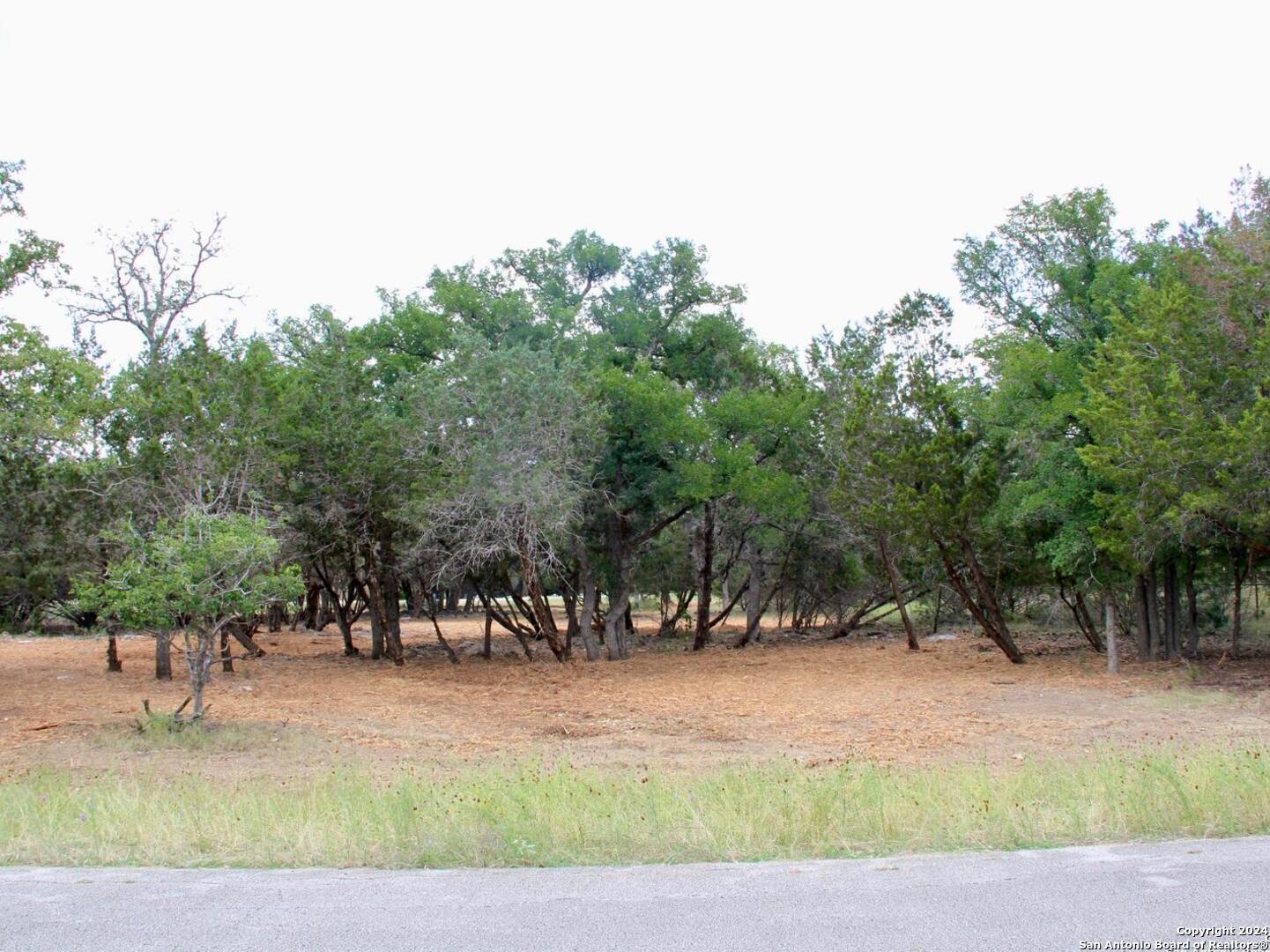 a view of outdoor space