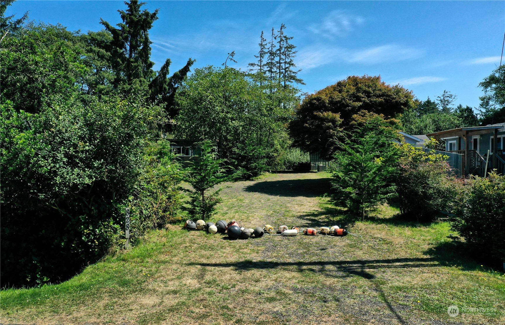 a view of a backyard