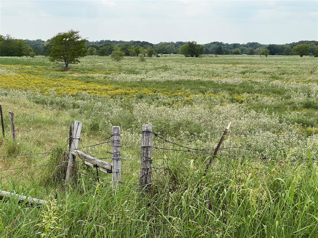 a view of a field with an ocean