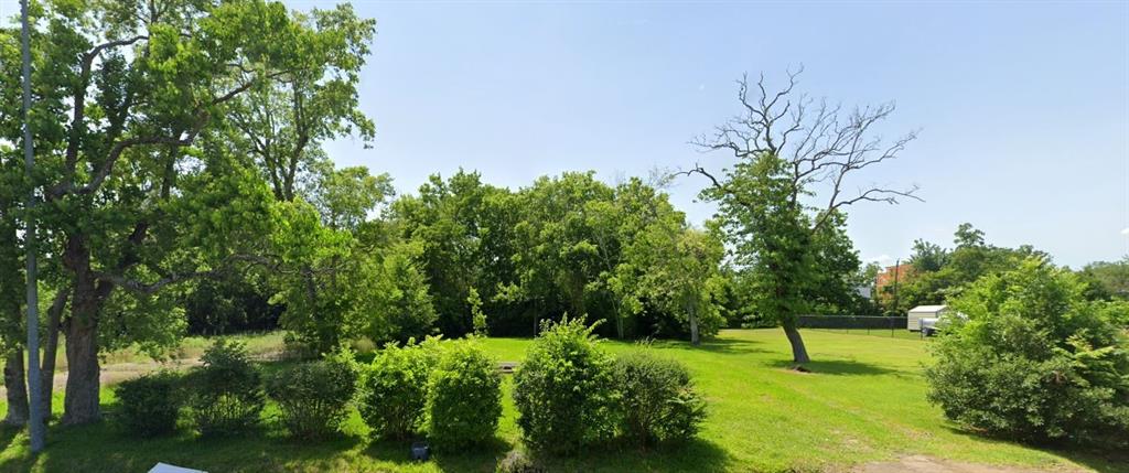 a view of a garden