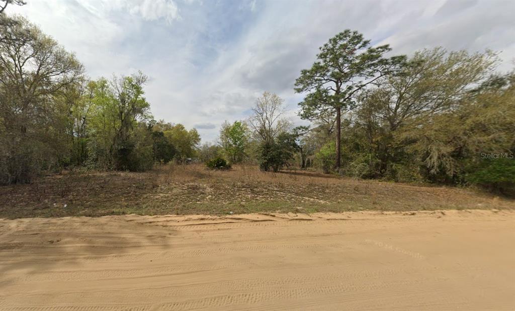 a view of a yard with a tree