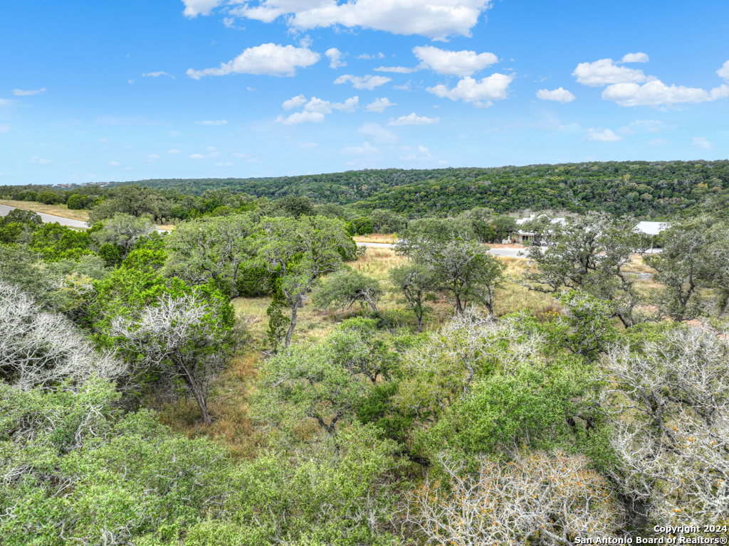 a view of a green field with lots of bushes