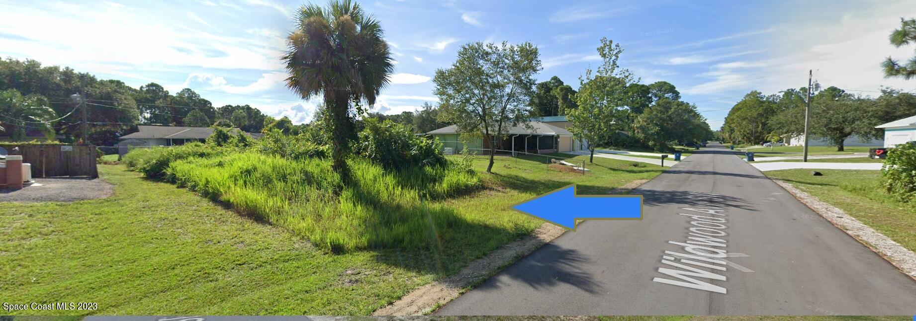 a view of a yard with plants and trees