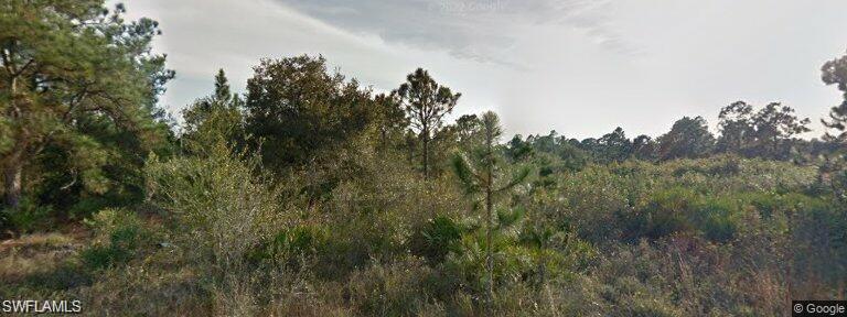 a view of a bunch of trees in a field