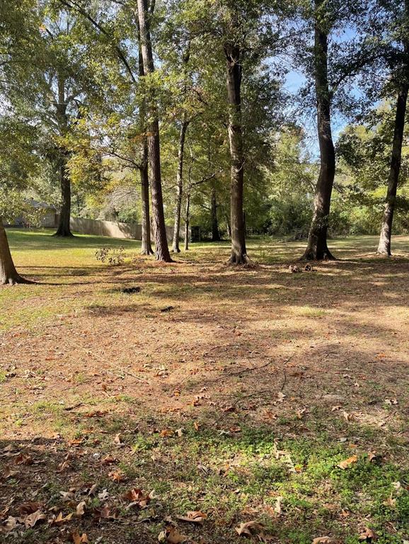 a view of a yard with a trees