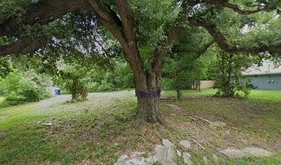 a view of a tree in the middle of a yard